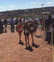 Girls cross-country: ATC claims first-ever state title in Class 3A