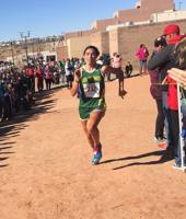 Girls cross-country: ATC claims first-ever state title in Class 3A